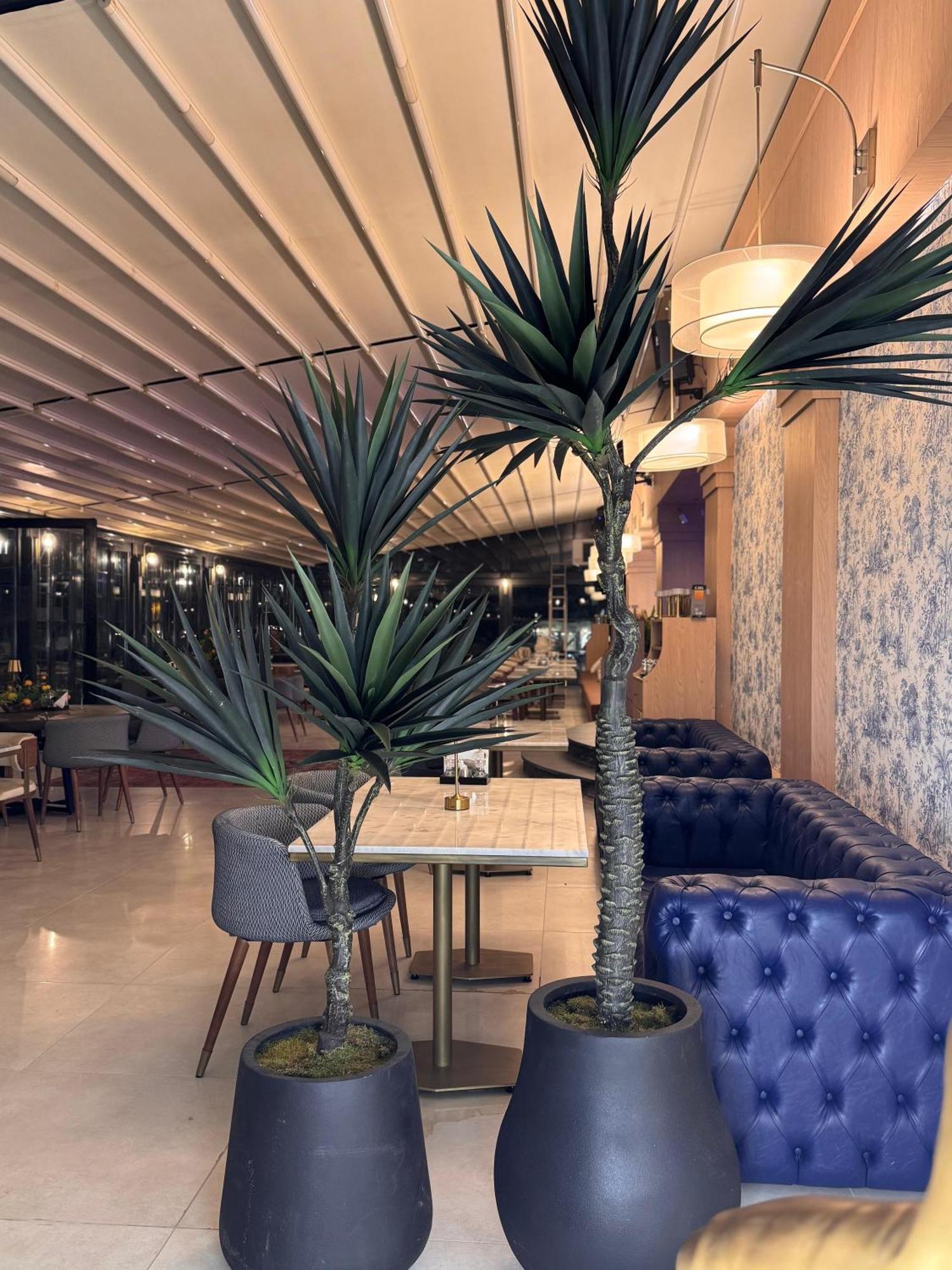 Mavi Marin Boutique Hotel Κοτύωρα Εξωτερικό φωτογραφία